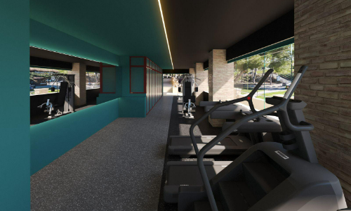 STRENGTH AREA / AREA FUERZA
